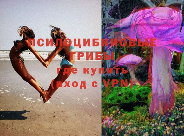 spice Корсаков