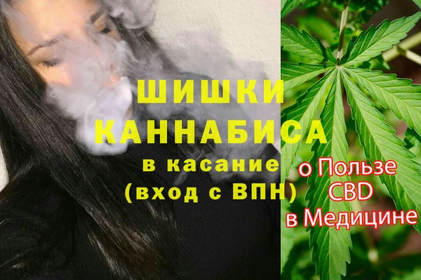 дурь Коряжма