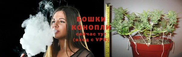 дурь Коряжма