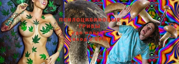 ПСИЛОЦИБИНОВЫЕ ГРИБЫ Костерёво