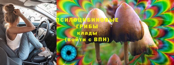 ПСИЛОЦИБИНОВЫЕ ГРИБЫ Костерёво