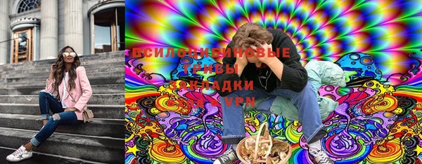 spice Корсаков