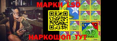 спайс Владимир