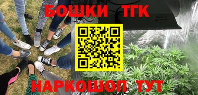 спайс Владимир