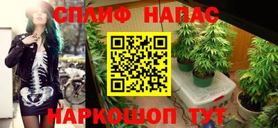 спайс Владимир