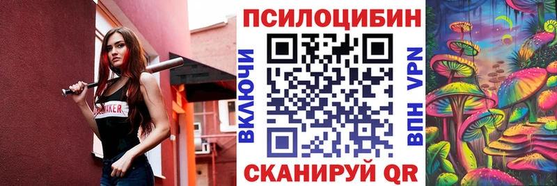 Купить закладки  Заинск  Псилоцибиновые грибы мухоморы 