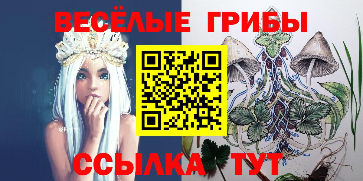 Галлюциногенные грибы MAGIC MUSHROOMS Заинск