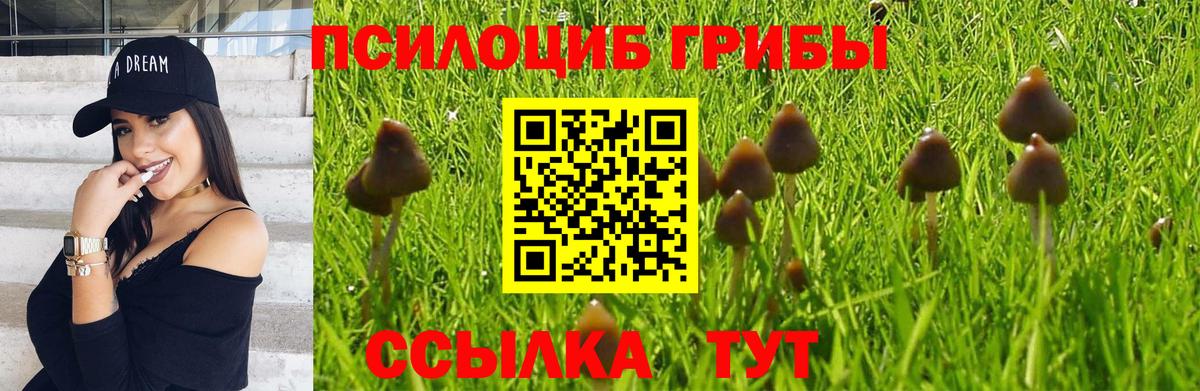 Галлюциногенные грибы мицелий  Псилоцибиновые грибы мицелий  Вход с VPN  хочу наркоту  Заинск 