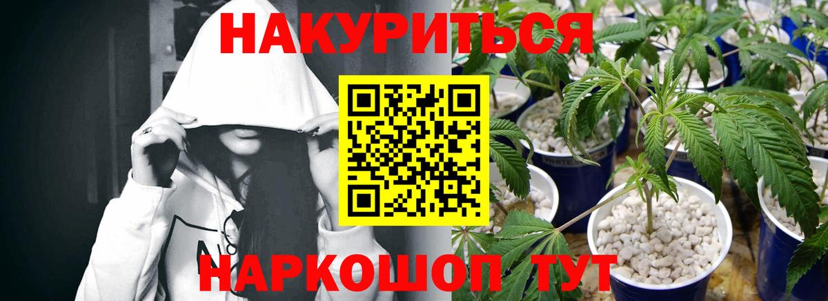 Бошки марихуана Amnesia  Каннабис тримм  Вход с VPN  Бошки марихуана марихуана  Заинск 